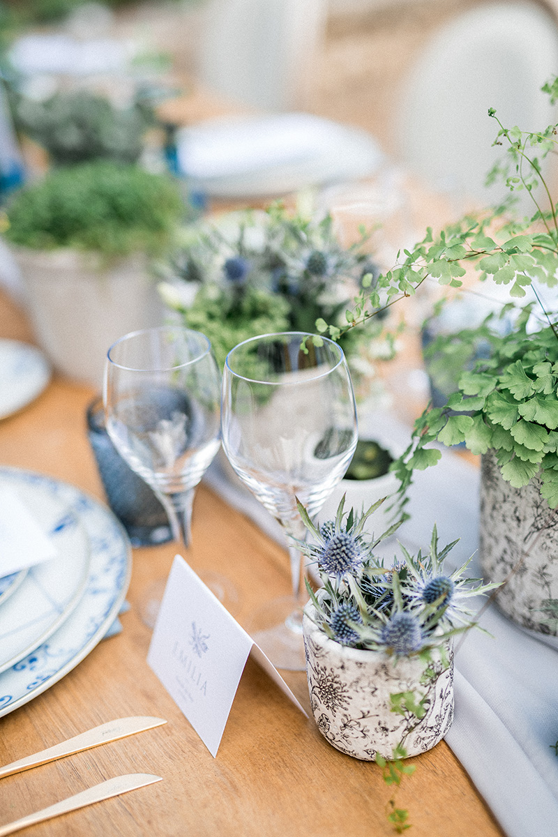 table-decoration-centre-de-table-bleu-plantes